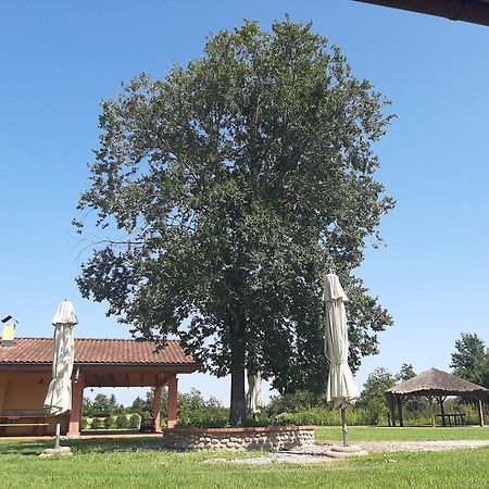 Corte All'Olmo Verona Exterior foto